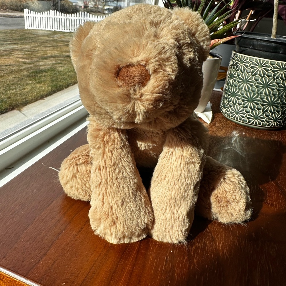 NWT Jellycat Smudge Bear Medium w/ receipt 🧾